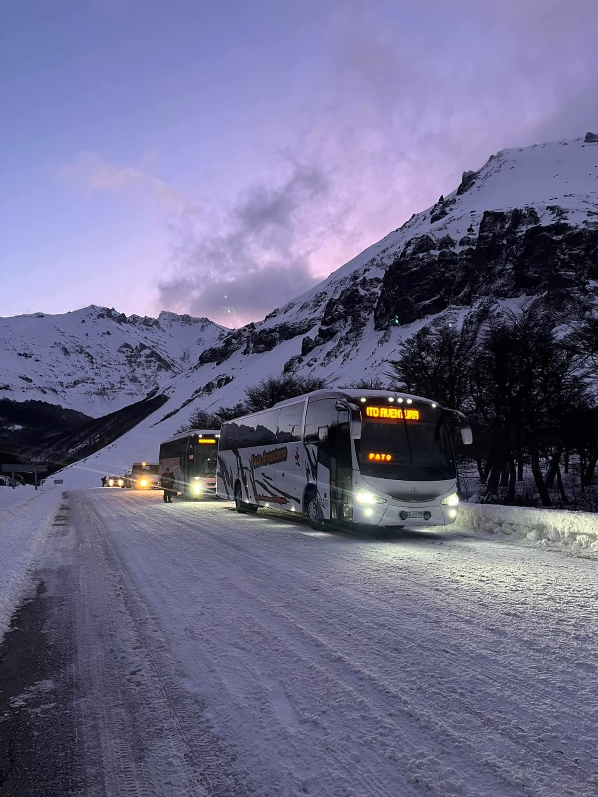 Buses de PatoAventura en la nieve