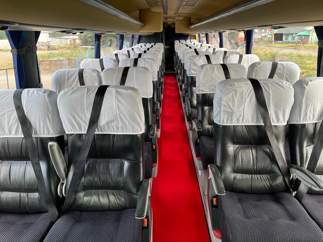 Interior cómodo con asientos reclinables de los buses de PatoAventura